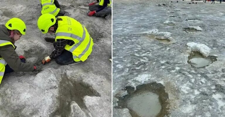 Descoberta na Inglaterra: pegadas de 166 milhões de anos na estrada dos dinossauros