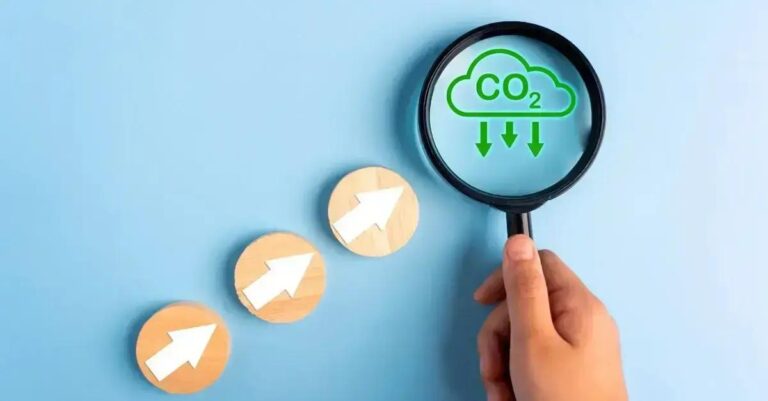 Brasil no topo: como o mercado de carbono impulsiona a sustentabilidade