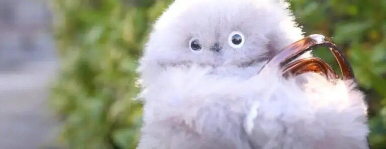 Inovações surpreendentes na CES 2025: robôs, fitness e saúde em destaque