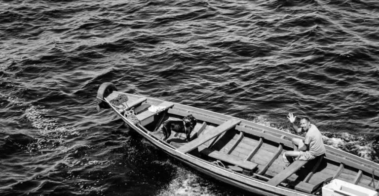 Startups da Amazônia inovam em sustentabilidade e bioeconomia para o futuro