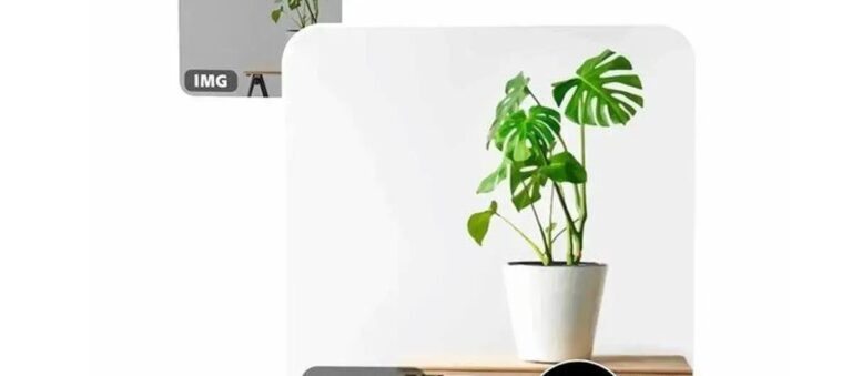 Aprenda a vetorizar imagem: guia prático para projetos gráficos